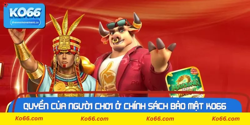 Quyền của người chơi được quy định ở chính sách bảo mật Ko66